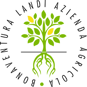 Bonaventura Landi, azienda agricola